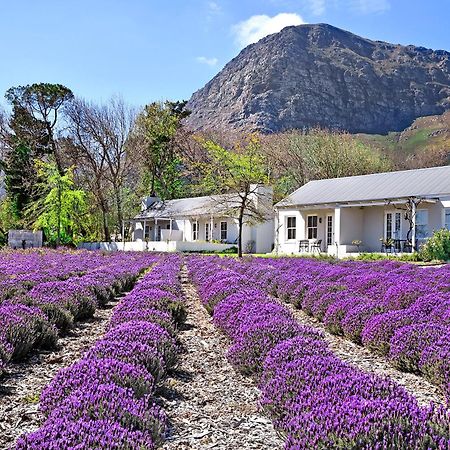 Lavender Farm Guest House Franschhoek Eksteriør billede