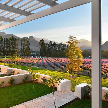 Lavender Farm Guest House Franschhoek Eksteriør billede
