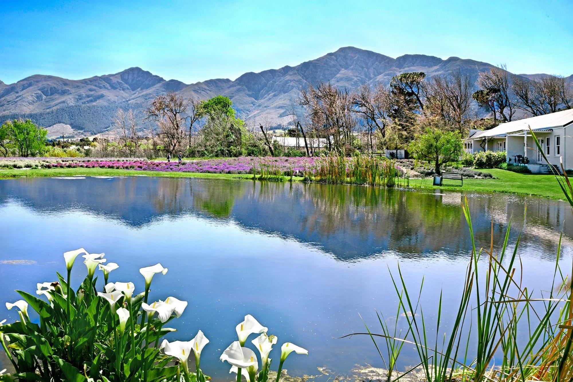 Lavender Farm Guest House Franschhoek Eksteriør billede