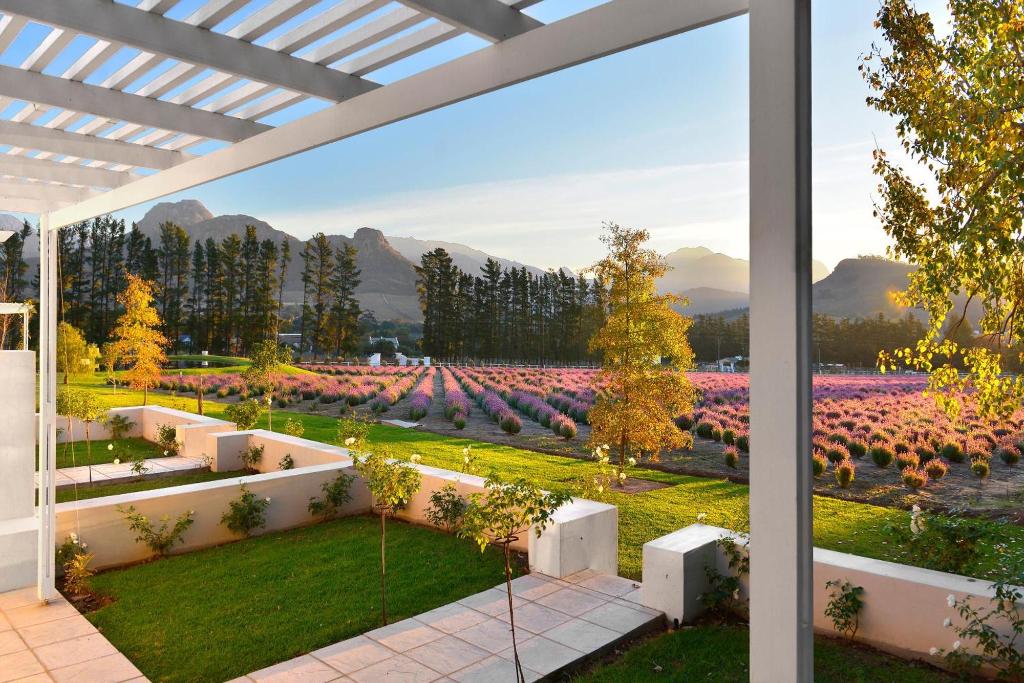 Lavender Farm Guest House Franschhoek Eksteriør billede