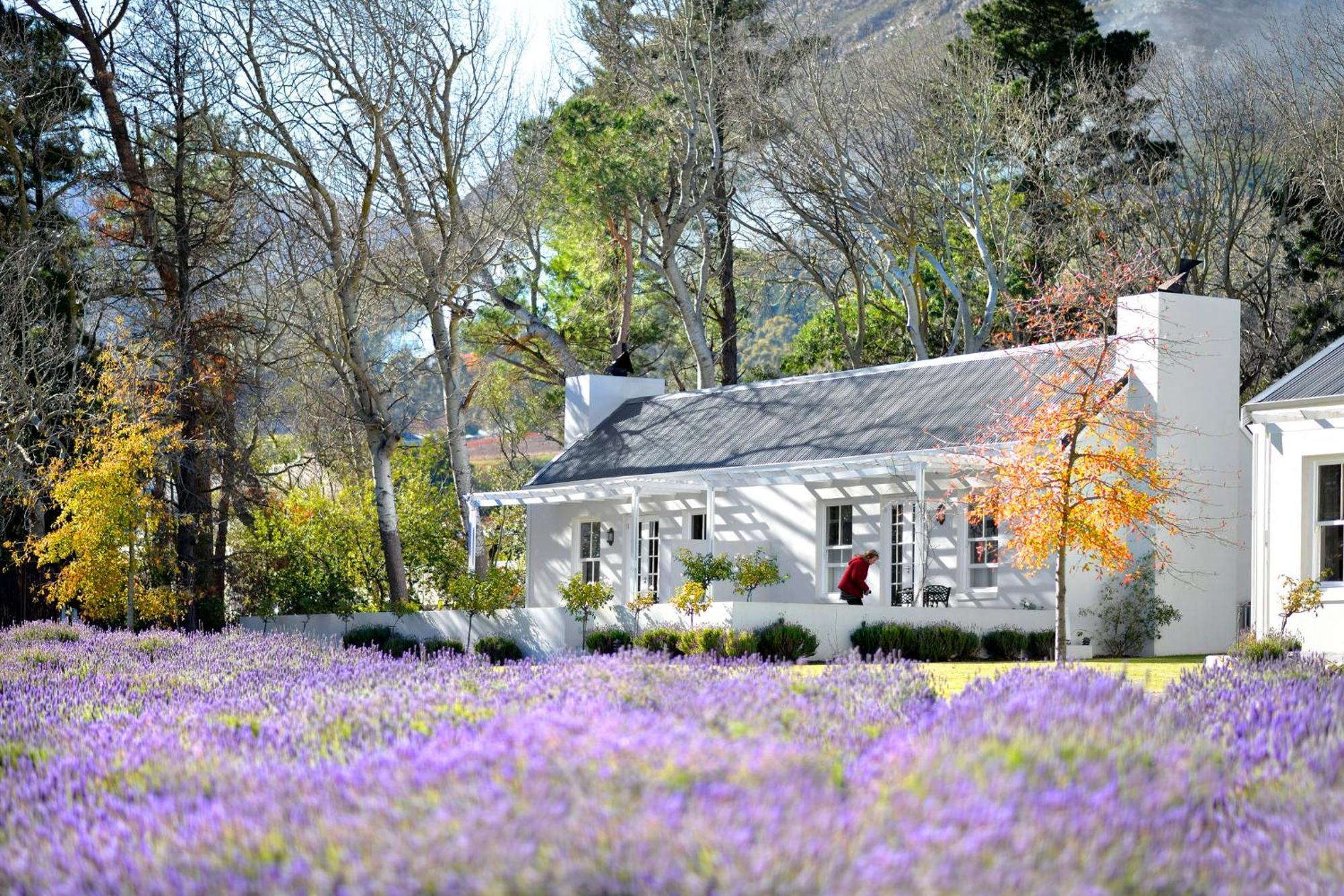 Lavender Farm Guest House Franschhoek Eksteriør billede